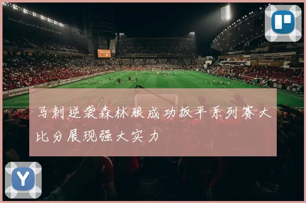 马刺逆袭森林狼成功扳平系列赛大比分展现强大实力