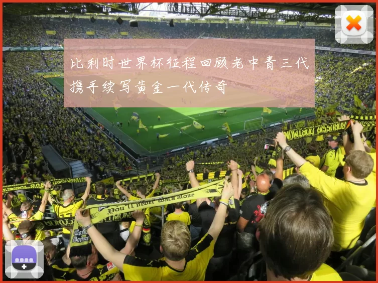 比利时世界杯征程回顾老中青三代携手续写黄金一代传奇