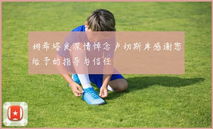姆希塔良深情悼念卢切斯库感谢您给予的指导与信任
